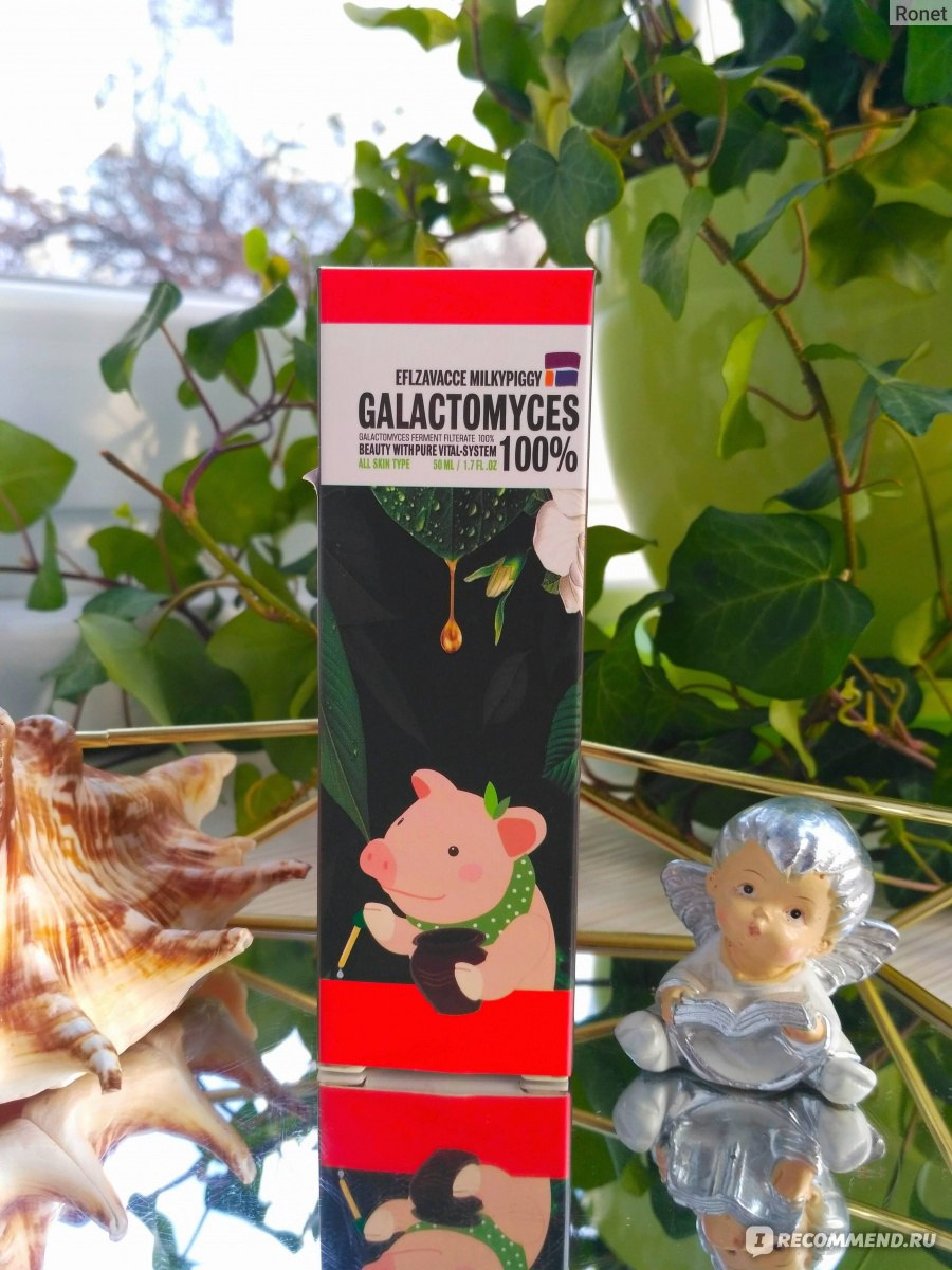 Сыворотка для лица Eflzavacce Milky Piggy Galactomyces Ferment Filtrate 100% фото