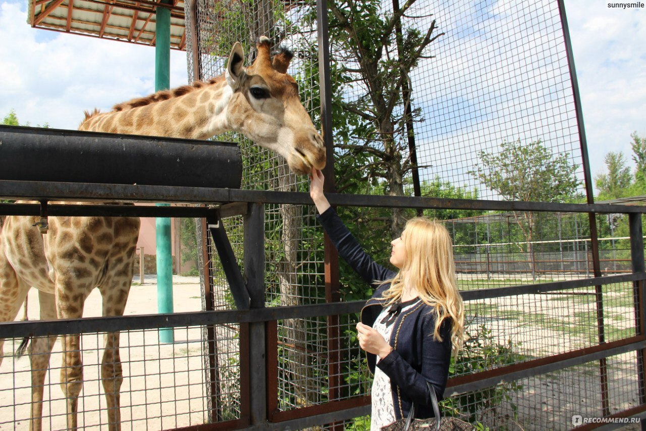 Сафари зоопарк Крым Тайган