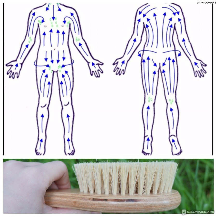 Лимфомассаж щеткой схема