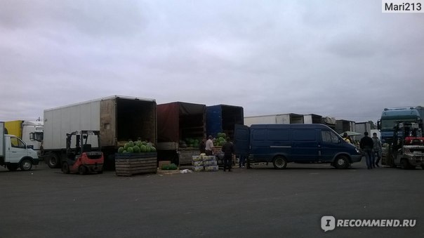 В понедельник на овощной базе