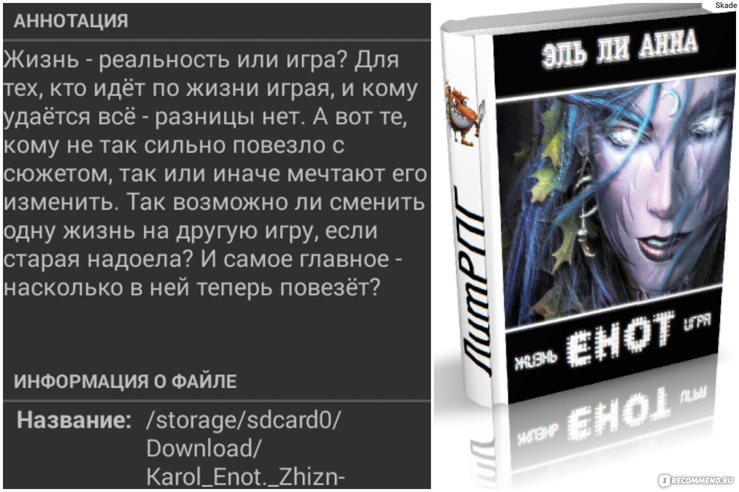 Енот. Жизнь игра. Елена Кароль - «Жизнь - реальность или игра?» | отзывы