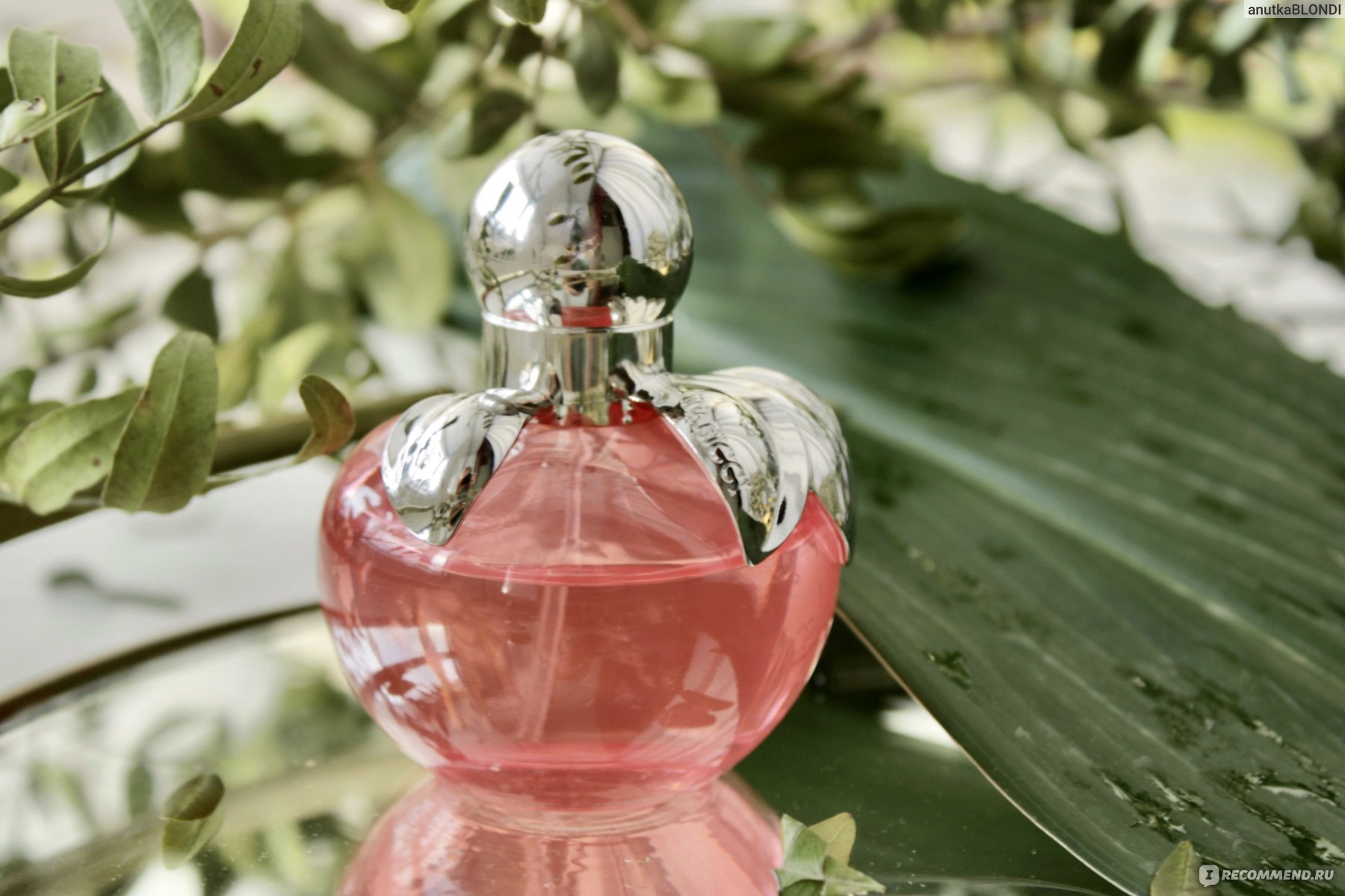 Nina Ricci Nina (Красное яблоко) - «Зеленое яблоко, которое притворяется  красным 🍎 Nina Ricci Nina - аромат праздника, счастья и нездорового  оптимизма. Ностальгия по прошлым временам.» | отзывы