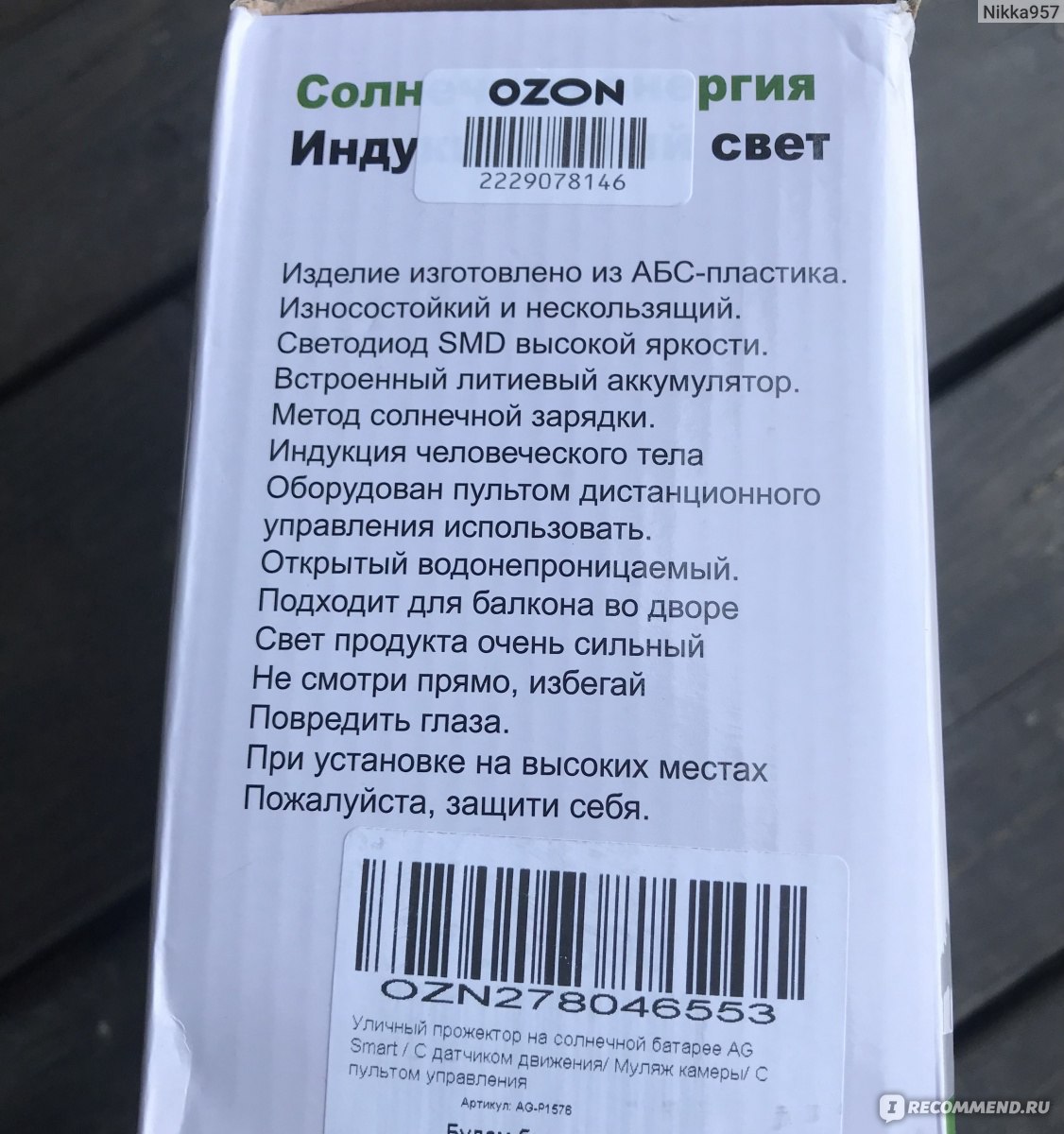 Светильник уличный светодиодный Ag Smart Муляж камеры на солнечной батарее фото