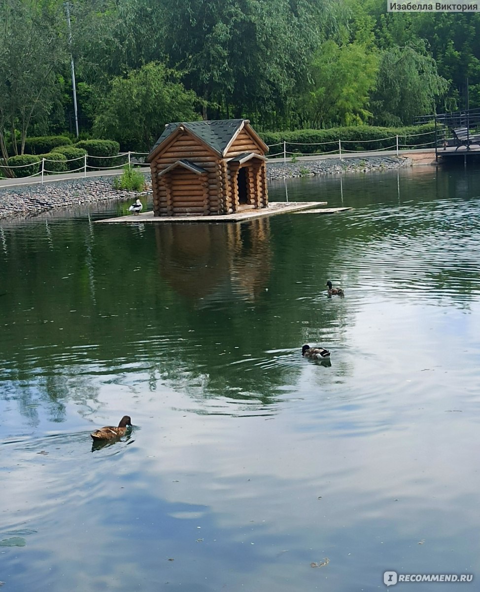 Вольский центральный парк, Вольск фото