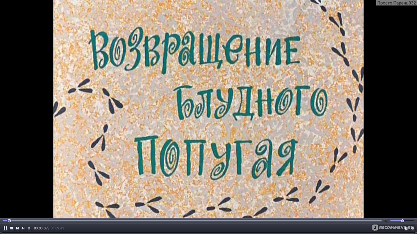 Возвращение блудного попугая - «Где-то там, может, и хорошо, а дома всегда  лучше» | отзывы