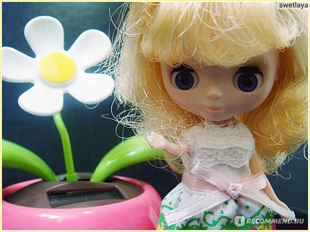 Куклы Блайз Blythe doll