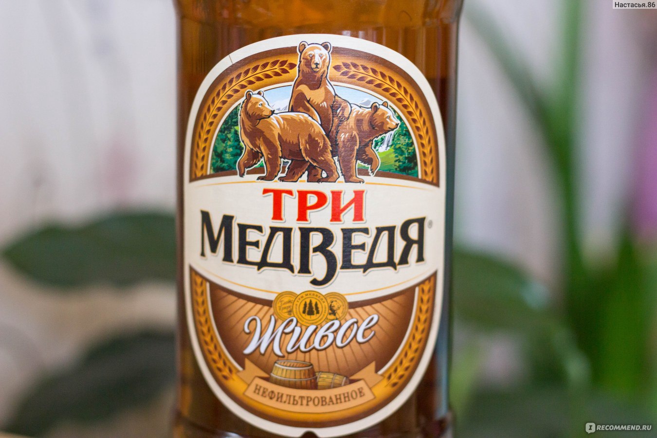 Пиво три медведя фото