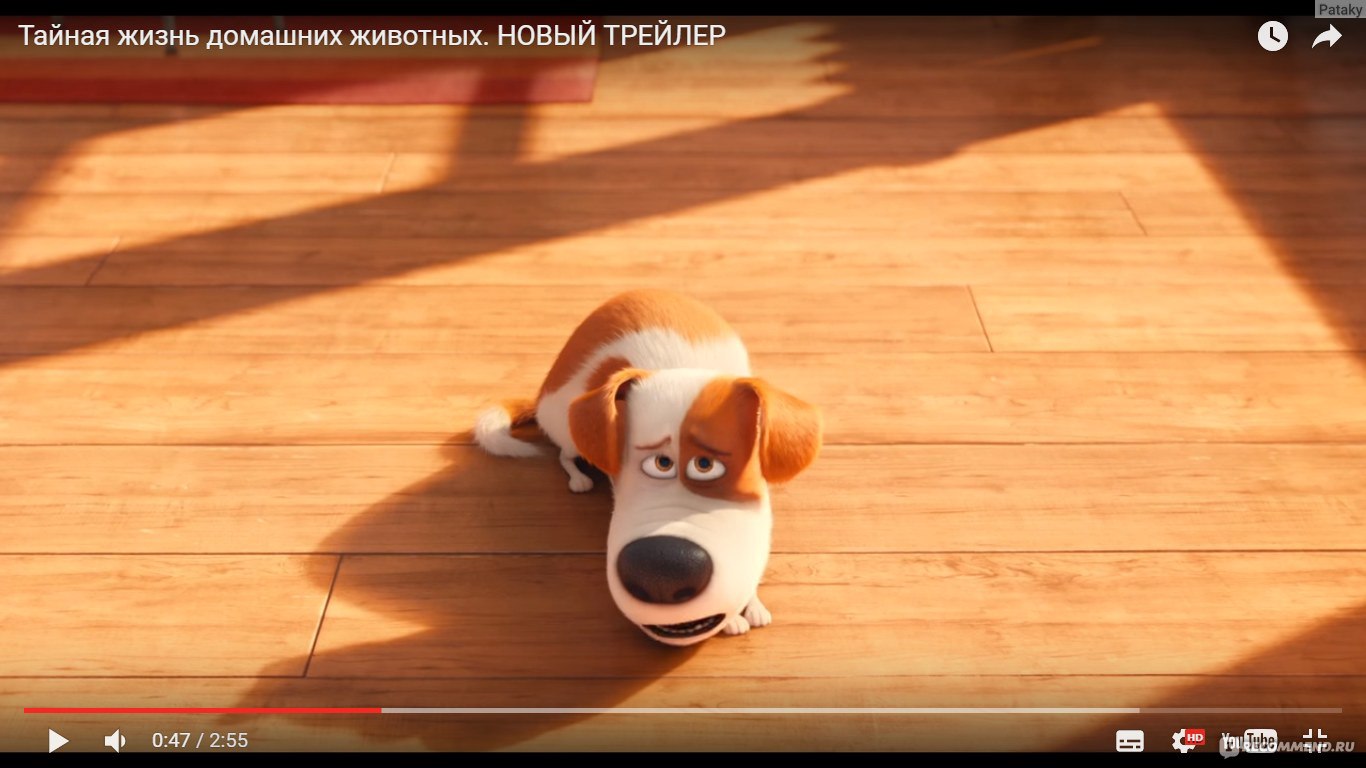 Тайная жизнь домашних животных / The secret life of pets - «Форсаж 7  по-собачьи.» | отзывы