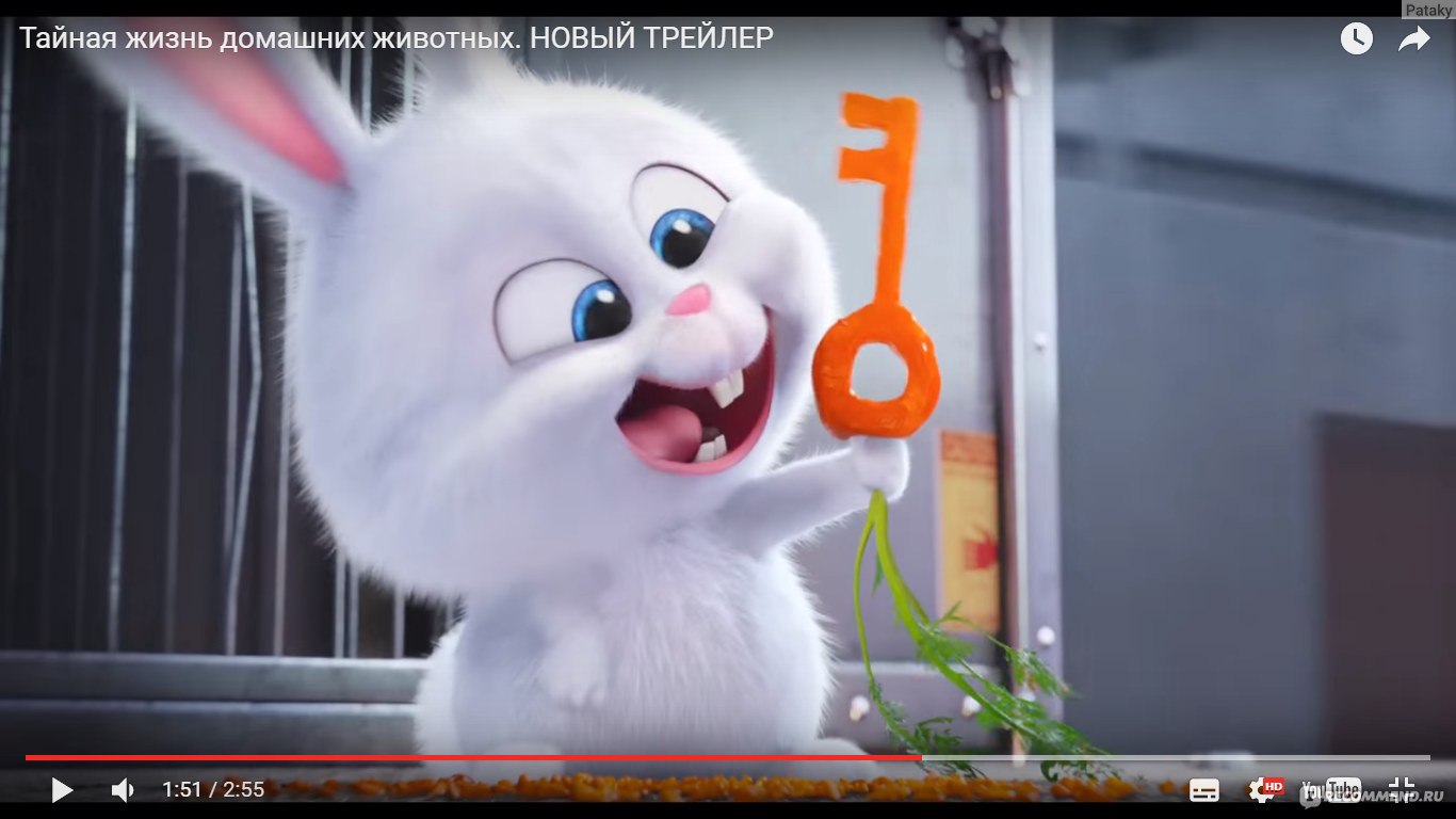 Тайная жизнь домашних животных / The secret life of pets - «Форсаж 7  по-собачьи.» | отзывы