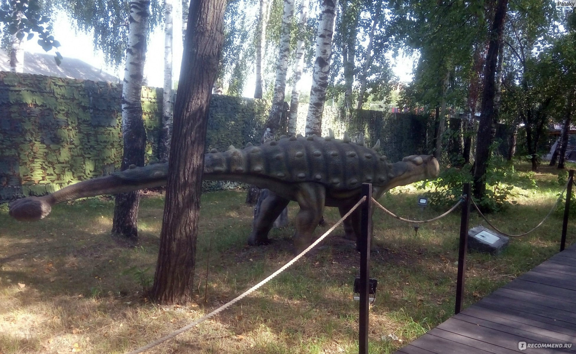 Парк динозавров Динолэнд Нижний Новгород