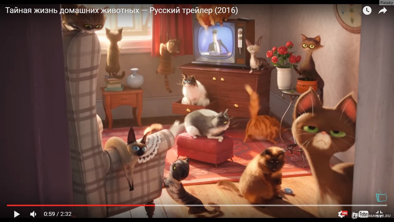 Тайная жизнь домашних животных / The secret life of pets - «Форсаж 7  по-собачьи.» | отзывы