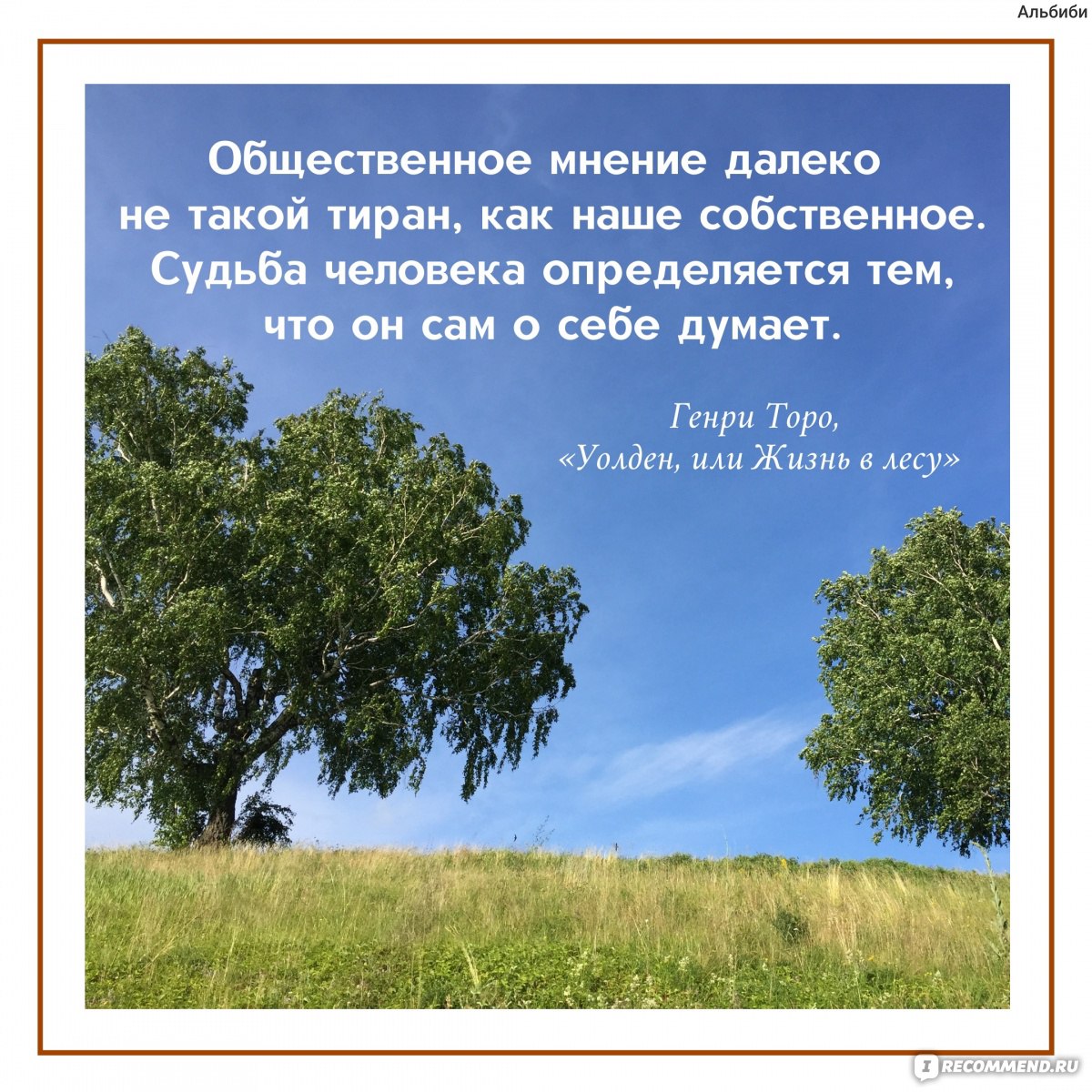 Уолден, или Жизнь в лесу. Генри Дэвид Торо - ««Жизнь в лесу» как способ  найти покой и умиротворение в душе» | отзывы