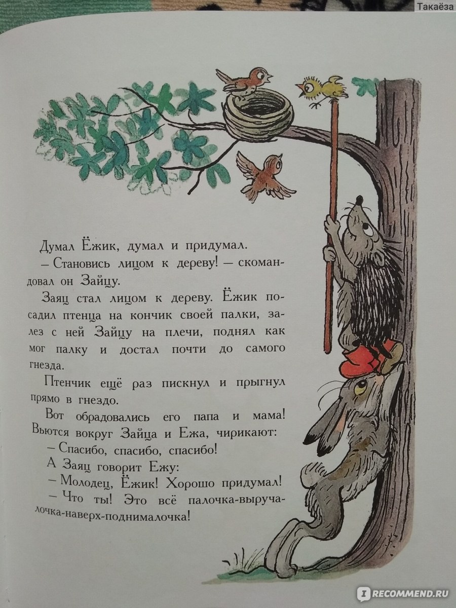 Палочка-выручалочка Сутеев читать