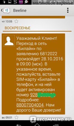 Определитель номера Билайн — как подключить услугу