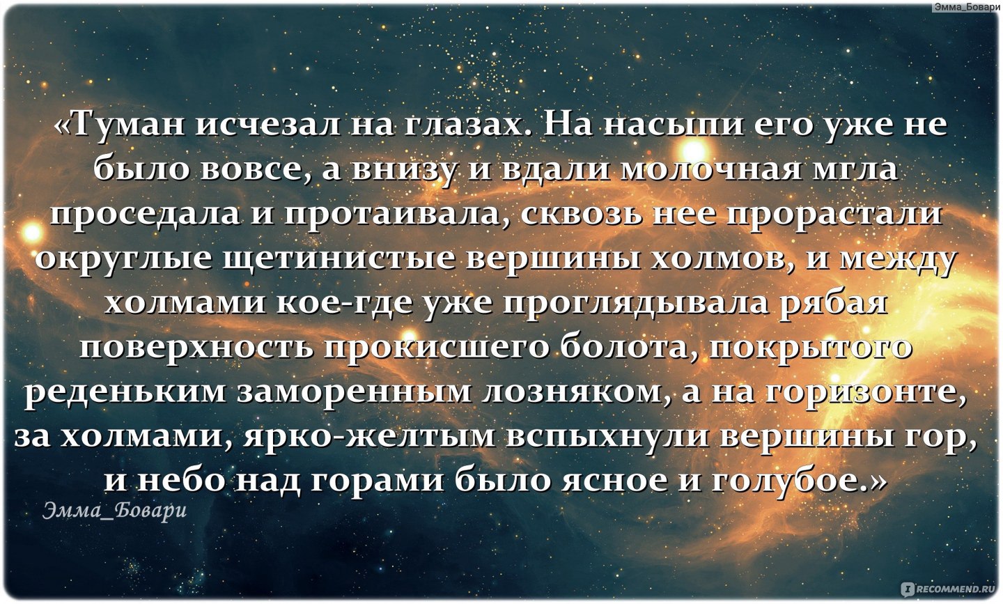 Пикник на обочине, Стругацкий Аркадий, Стругацкий Борис - ««В Зоне - чем  тише, тем опаснее» (с). Произведение, подарившее миру Вселенную игр  S.T.A.L.K.E.R.» | отзывы