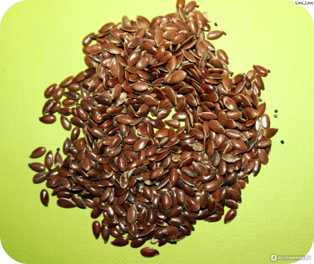 Семена льна коричневого фото