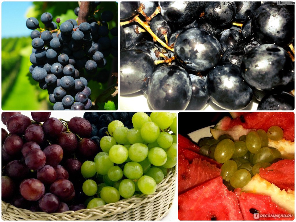 Можно ли есть виноград при беременности