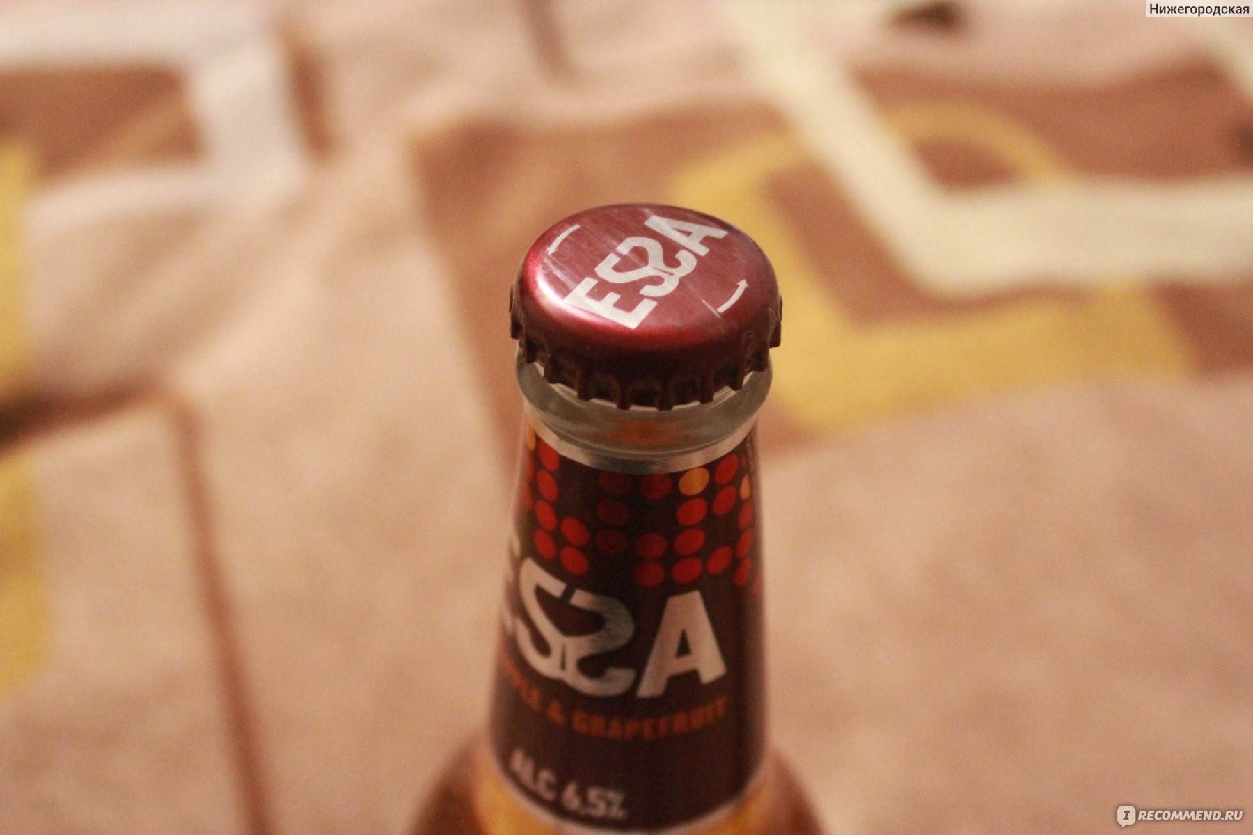 Пиво Essa  фото