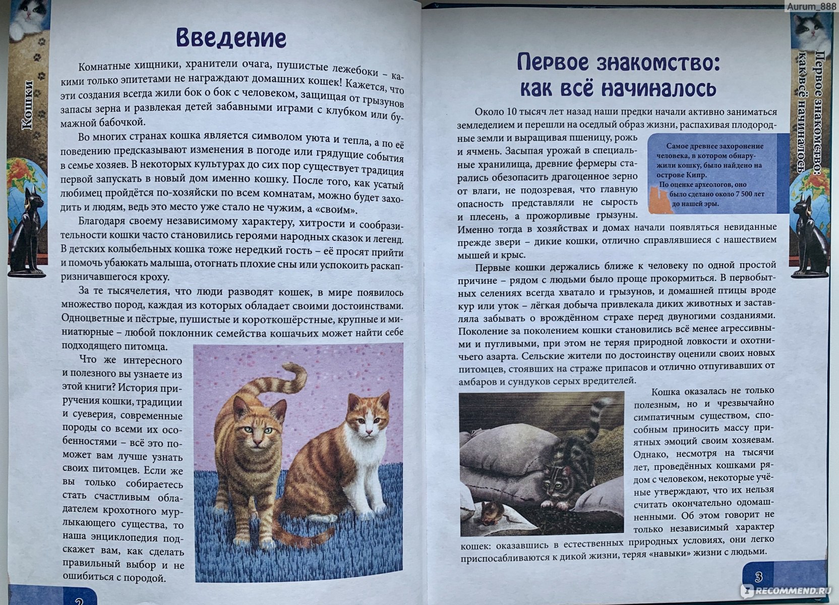 В мире знаний Энциклопедия Всё о кошках. Издательский Дом Проф-Пресс -  «Небольшая энциклопедия, из которой можно узнать многое о кошках разных  пород» | отзывы