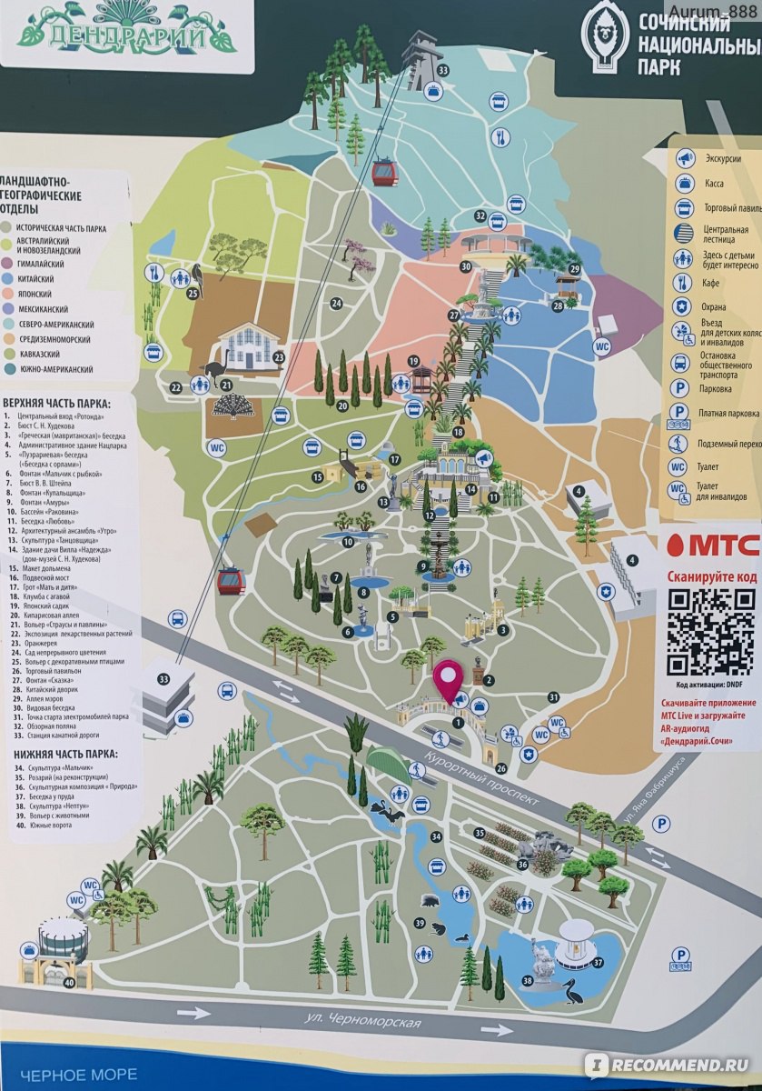 Парк «Дендрарий» в Сочи: фото, видео, на карте