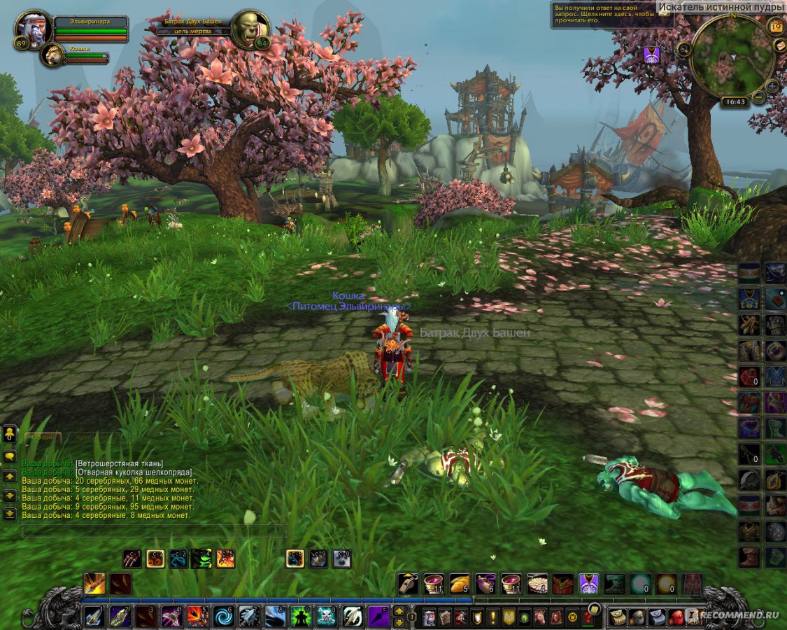 World of Warcraft / WoW - «