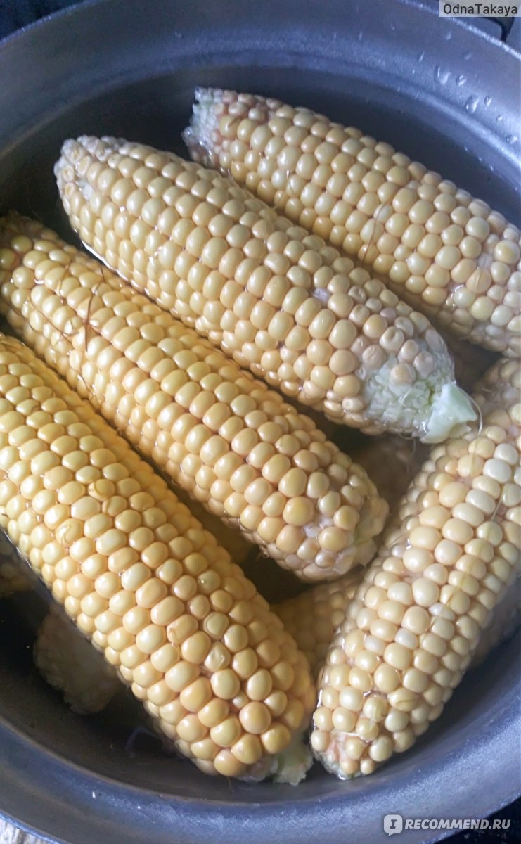 Чем полезна кукуруза: лечебные свойства кукурузных «волос» — Здоровье