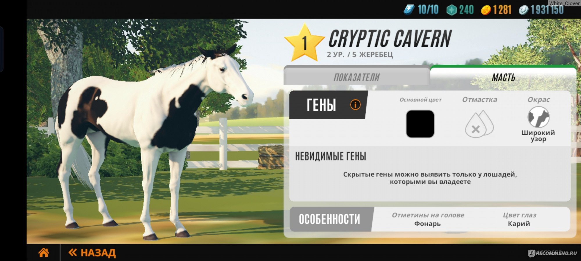 Компьютерная программа Rival Stars Horse Racing - «🍀 Как вывести хорошую  лошадь в Rival Stars? Затягивающая игра с реалистичными конями.» | отзывы