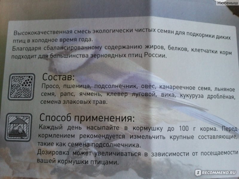 можно ли кормить птиц семенами льна. можно ли кормить птиц семенами льна. чем нельзя кормить птиц. семена льна в термосе. можно кормить птиц тыквенными семечками.