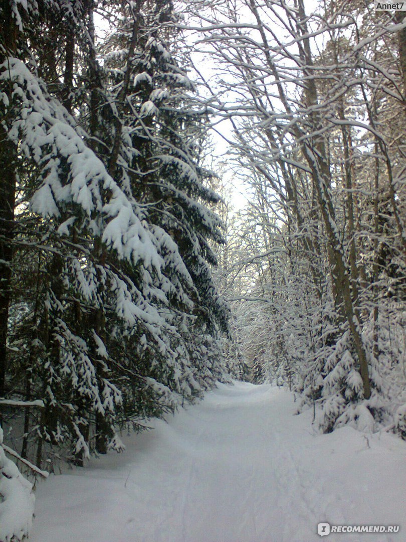 Крем для лица Dermosil Зимний Winter - «Для зимних морозных дней - самое  то!» | отзывы