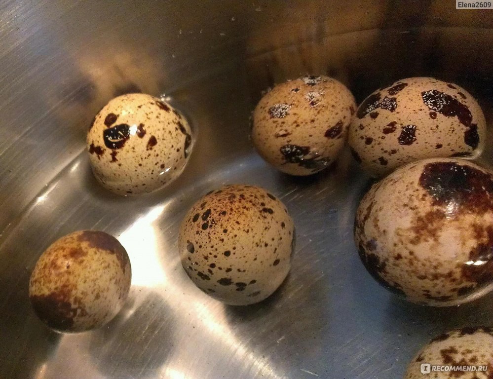 Перепелиные яйца всплыли в холодной воде. Свежесть перепелиных яиц. Свежие перепелиные яйца. Испорченные перепелиные яйца. Св5десть перепелиного яйца.