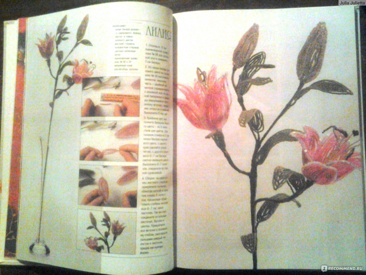 Эко-плетение. Растения и обувь – Книжный интернет-магазин sauna-ernesto.ru Polaris