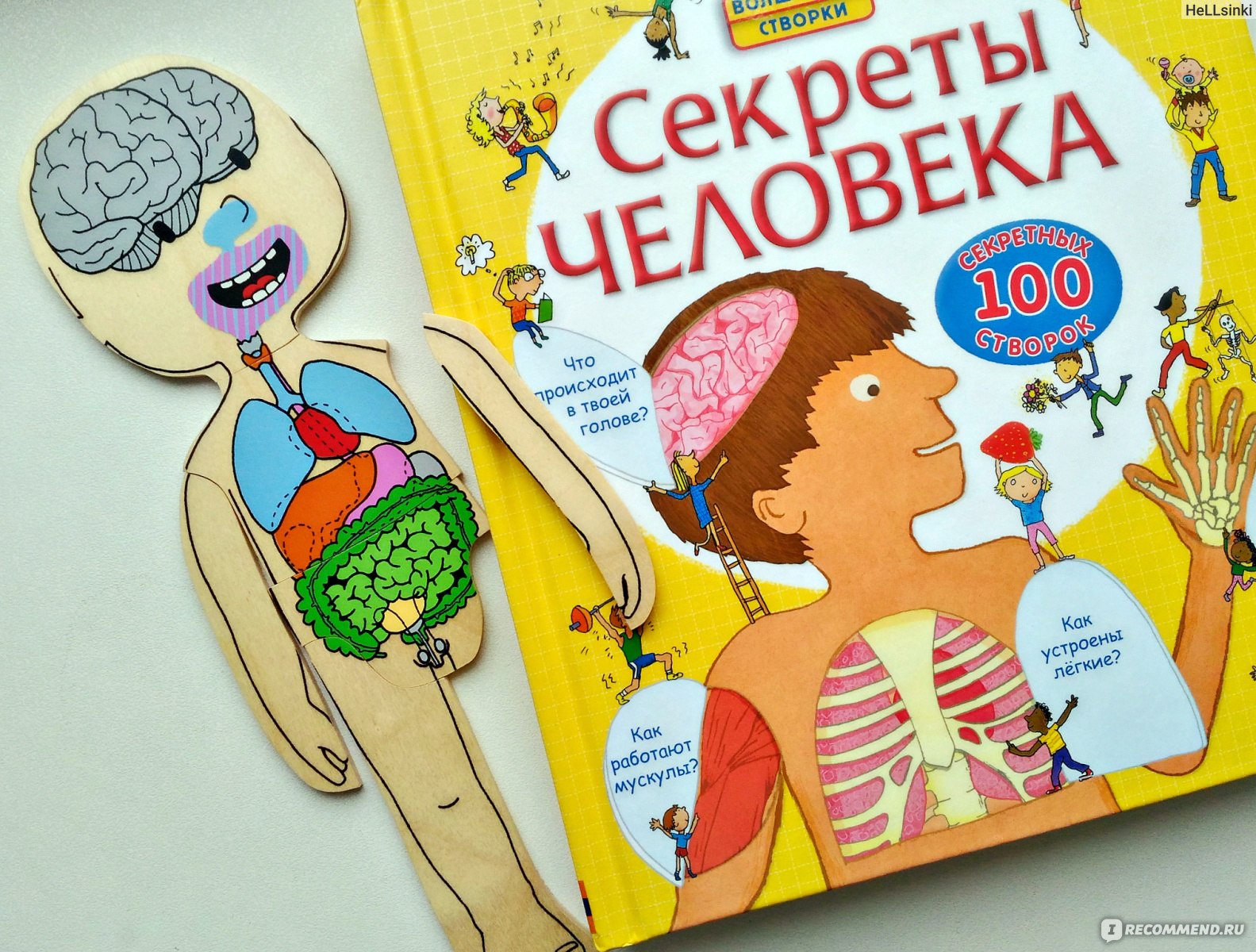 Детская книжка про тело человека