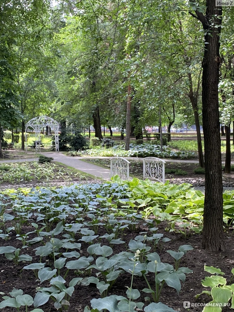 Центральный парк культуры и отдыха имени Горького, Алматы - «Здесь можно  найти все: развлечения, аттракционы, кафе или тихие тенистые улочки, отдых  на лужайках, наслаждение природой.» | отзывы