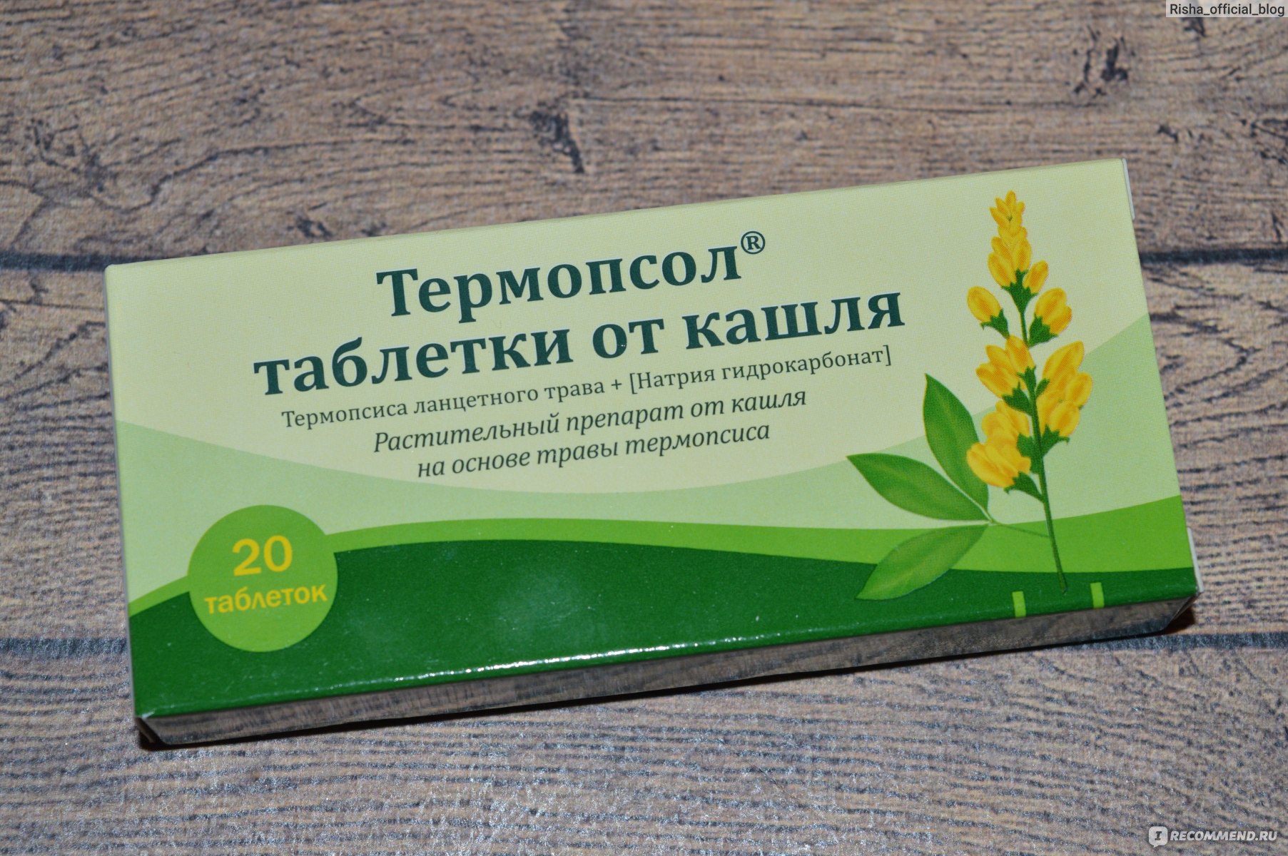 Трава термопсиса препарат