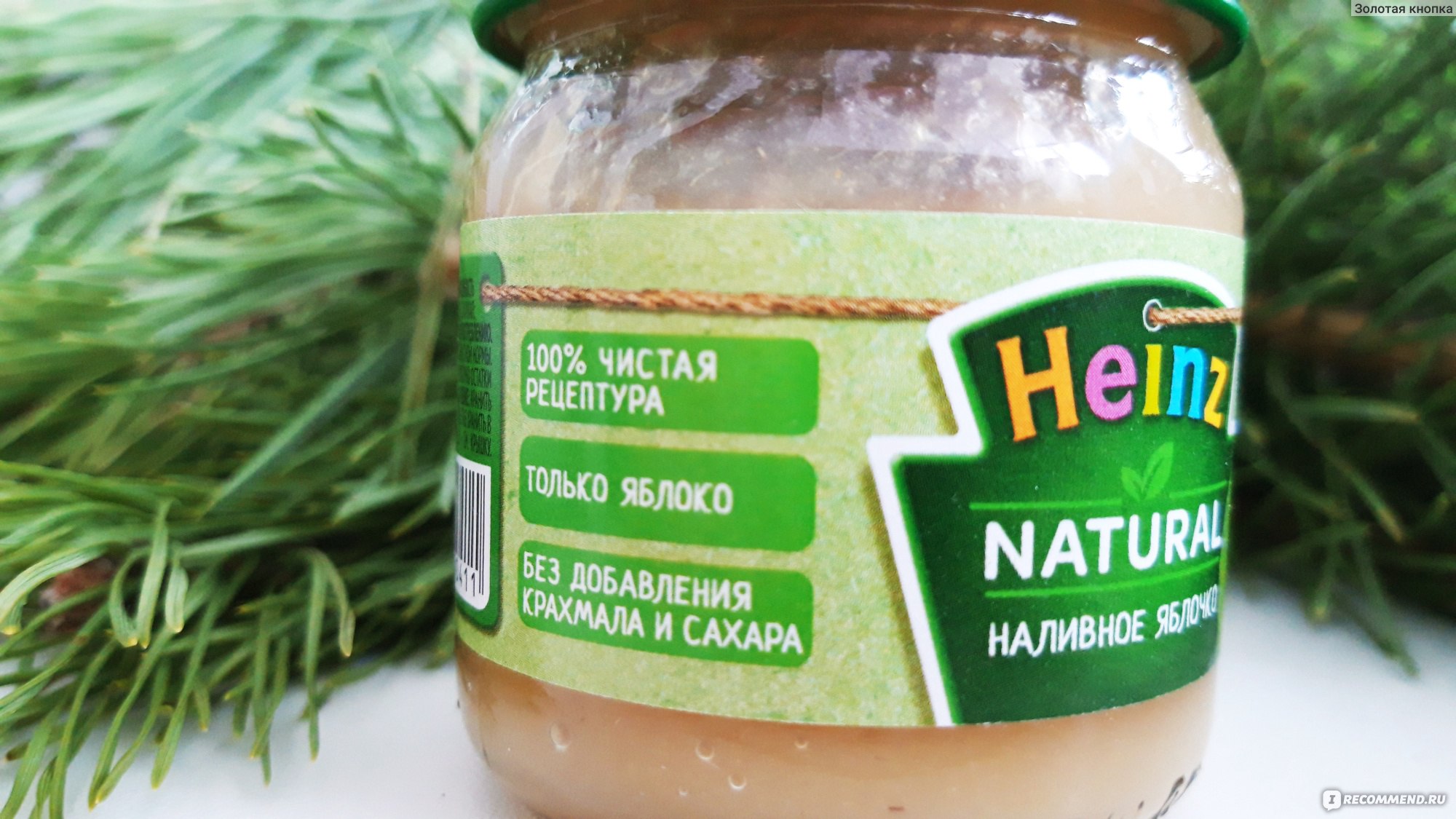 выкармливание котят. диетический корм для кошек. кот который ест молоко серый. молоко для котят. можно ли детское пюре кошке.