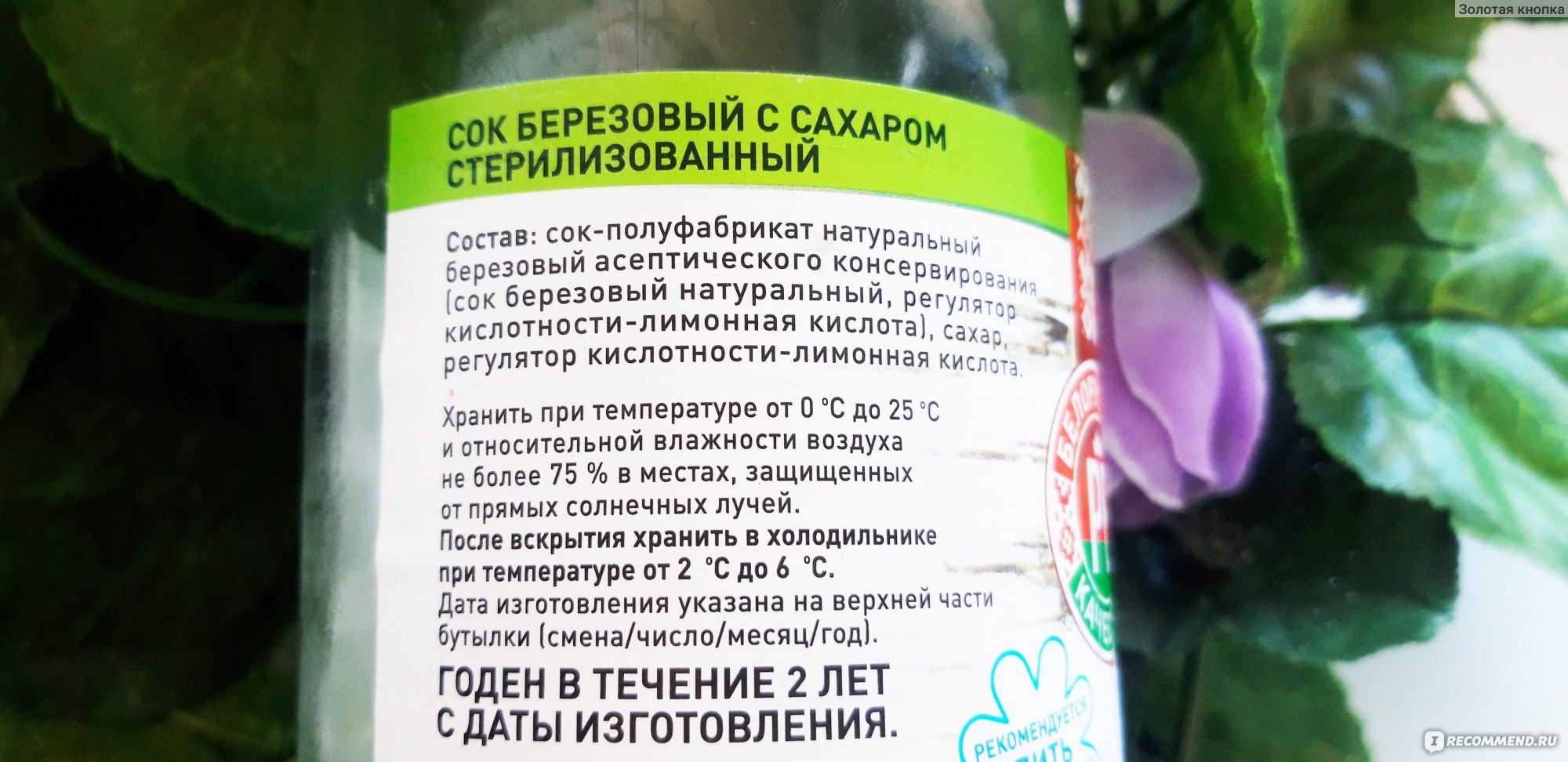 Сок Бабушкин хуторок Березовый - «Давно мечтала попробовать берёзовый сок.  И вот на днях купила! Каковы мои впечатления? Действительно ли сок такой  вкусный, как рассказывала моя бабушка? На что похож вкус и