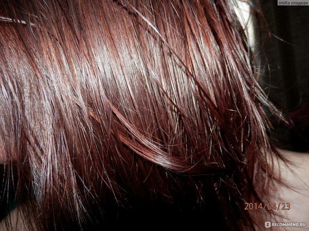 Краска для волос божоле фото на волосах