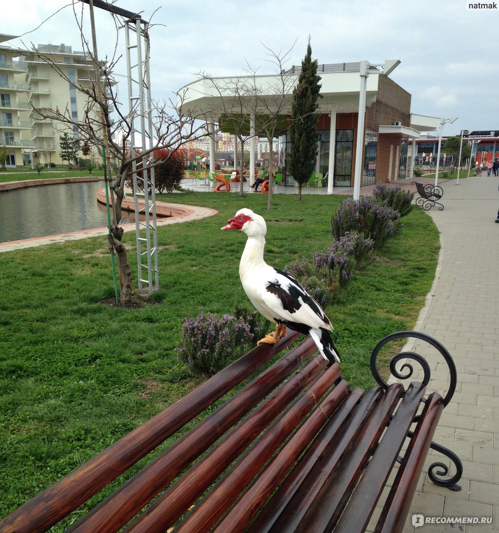 орнитологический парк в сочи