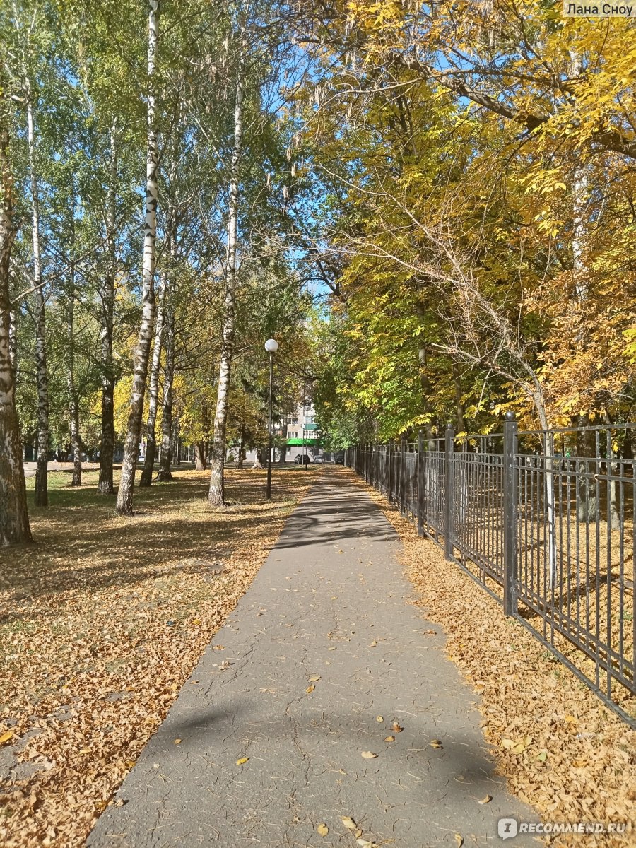 Детский парк им. Ульяновых, Пенза - «Парк Ульяновых хорош в любое время  года и любое время суток. Самый чистый, ухоженный, красивый парк Пензы. В  детстве каждый день ходила в него кататься на