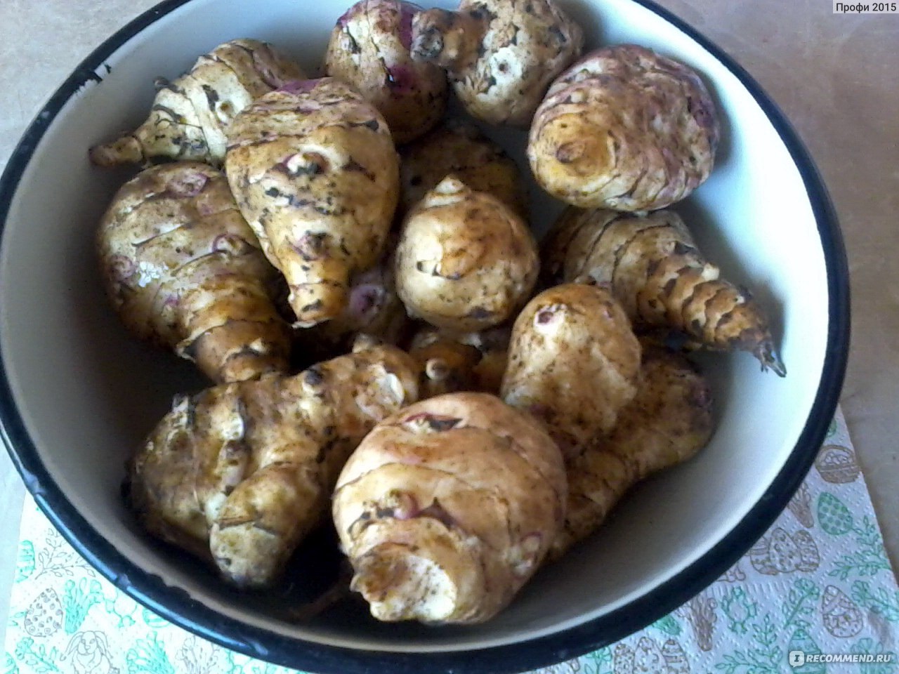 Овощи Топинамбур - «Полезный и сочный овощ. Вкусные салаты с морковью, а  также бананами и изюмом. Имитация кокосовой стружки и мюслей. Но есть один  побочный эффект. » | отзывы