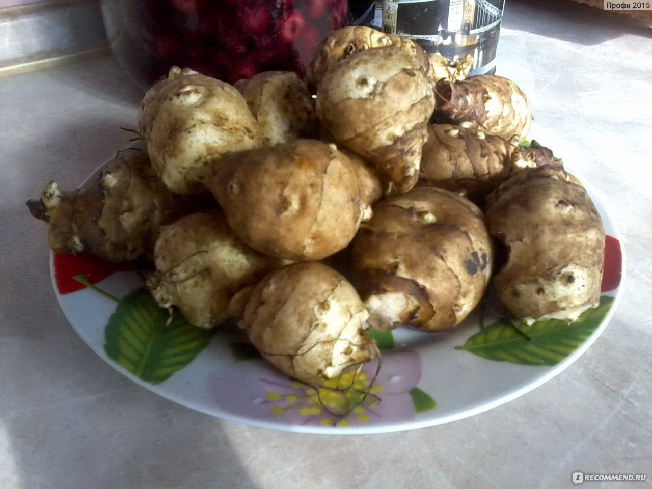 Овощи Топинамбур - «Полезный и сочный овощ. Вкусные салаты с морковью, а  также бананами и изюмом. Имитация кокосовой стружки и мюслей. Но есть один  побочный эффект. » | отзывы