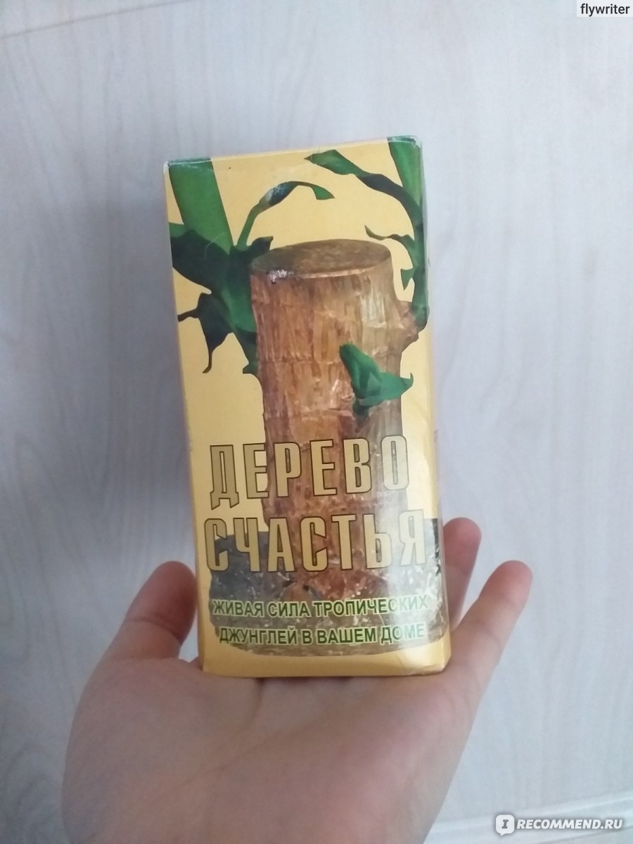 Дерево счастья Драцена /Dracena tropic/ Живая сила джунглей - «Дерево  счастья в моём доме: уход за ним действительно радует. Это чудо,  происходящее на глазах.» | отзывы