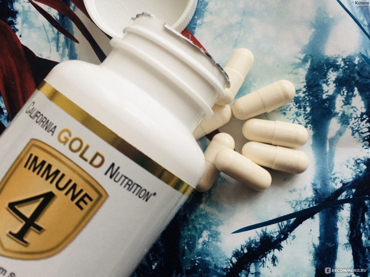 Gold immune 4. California Gold Nutrition immune 4. Immune БАД. Препарат immune 4. Immune IHERB.