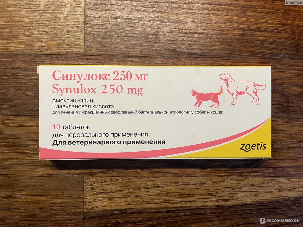 Синулокс 500 мг купить. Синулокс 250 мг. Синулокс 500 мг. Zoetis синулокс 50 мг. Синулокс для собак 250.