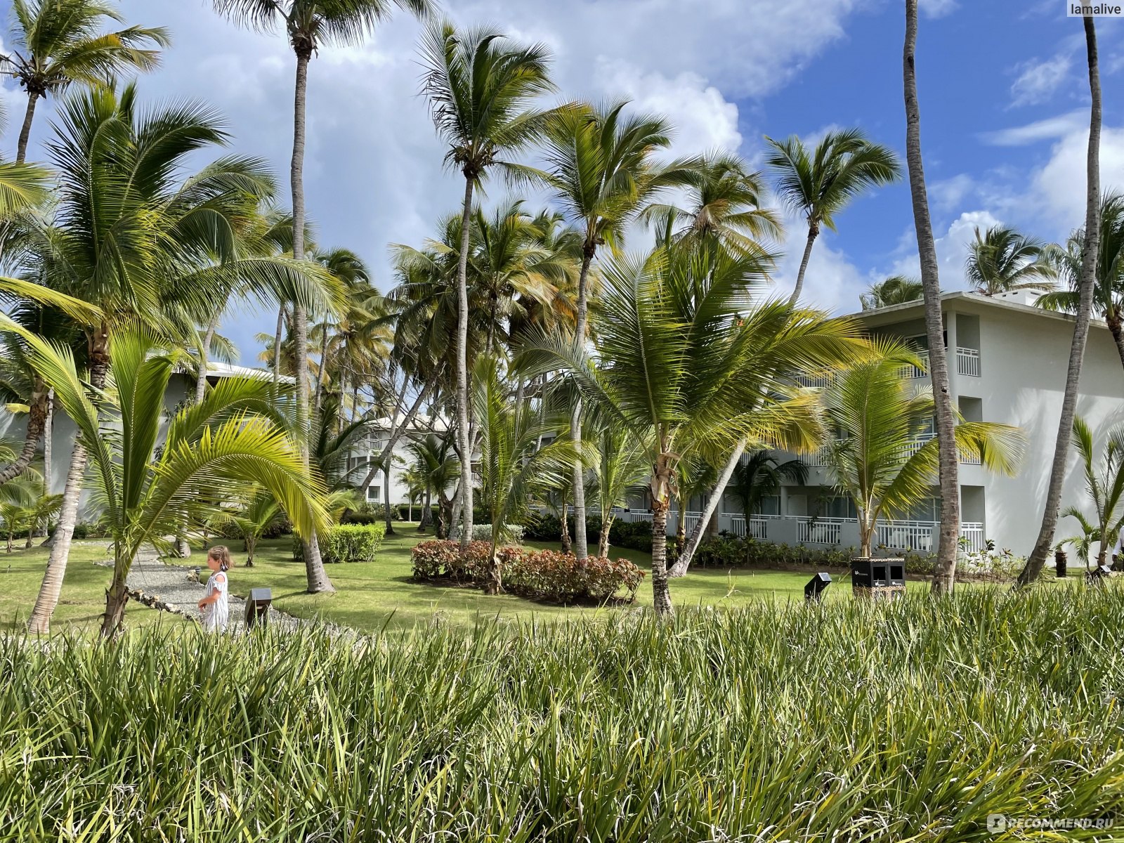 Отель Sirenis Punta Cana Resort Casino& Aquagames 5*, Доминиканская республика, Пунта Кана фото