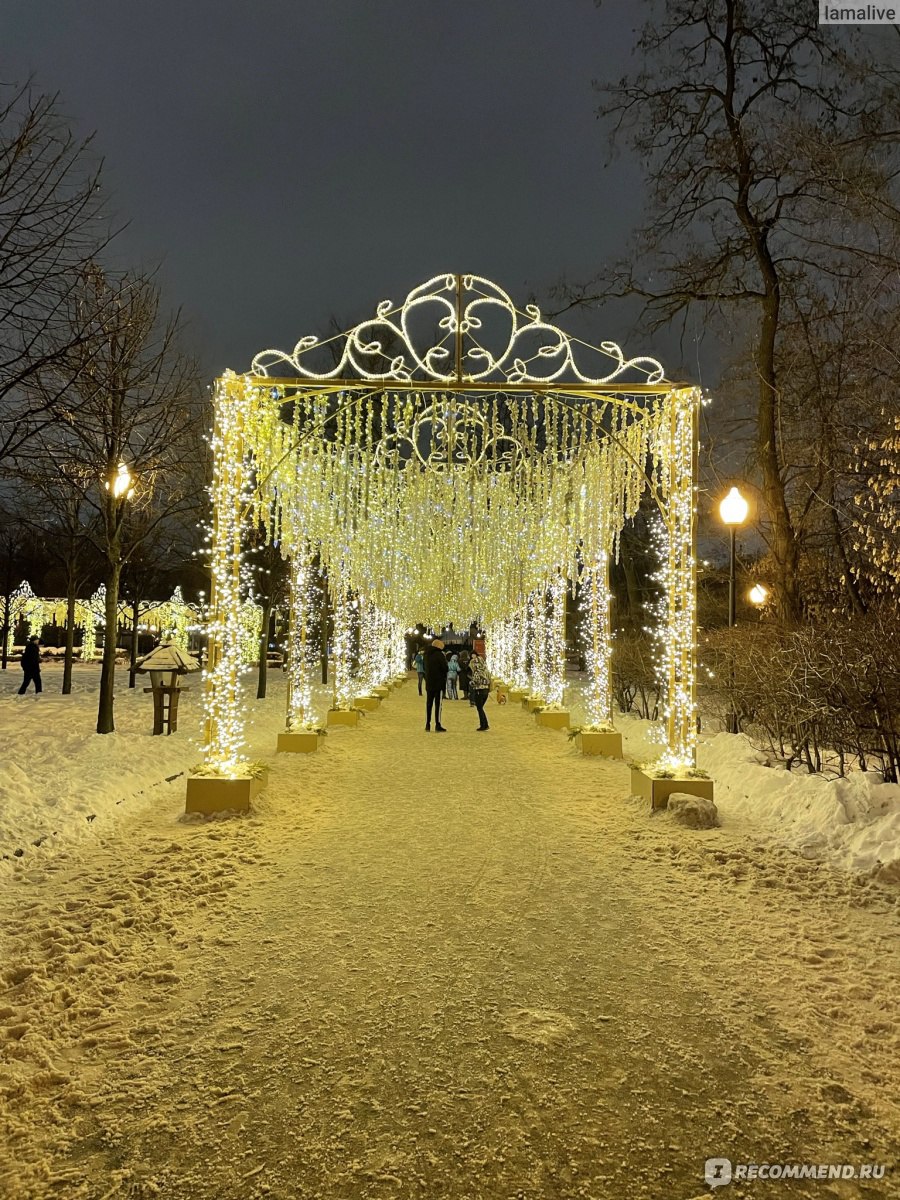 Парк Горького, Москва - «Мое место силы. Люди, которым не нравится Парк  Горького - мои личные враги (шутка). Видели пальмы в Москве? 🌴 А ведь  здесь они есть!» | отзывы