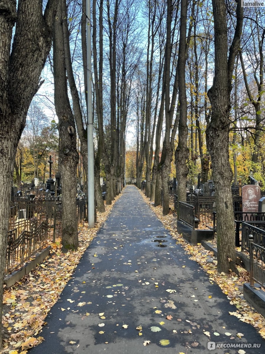 Введенское кладбище, Москва фото