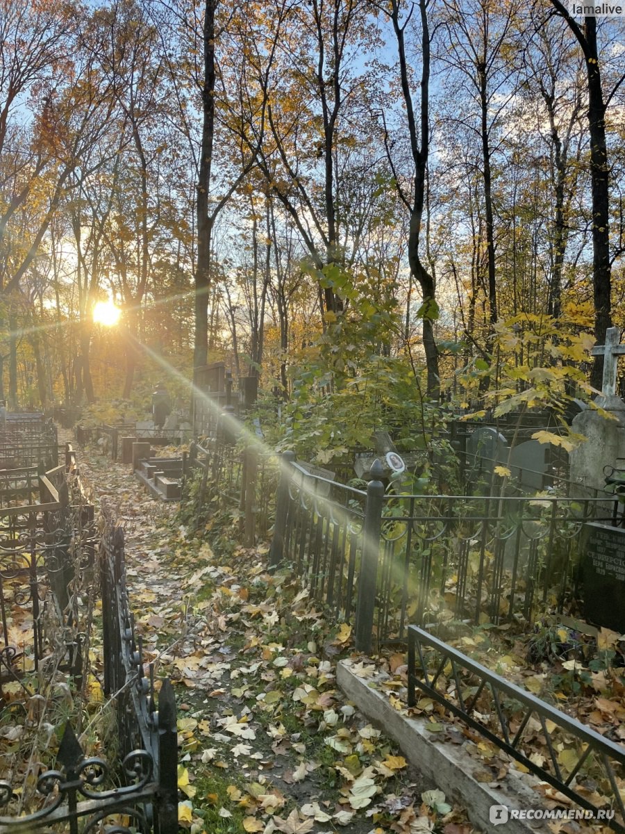 Введенское кладбище, отзыв