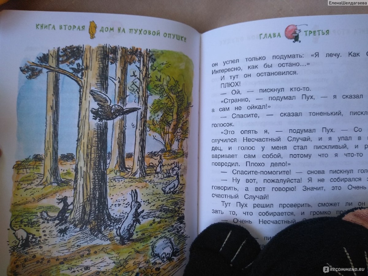 Всë о Винни-Пухе. Алан А. Милн - «Борис Заходер талантливо адаптировал  творение Алана Милна, но прочитать задуманное в том самом варианте одна из  лучших моих идей. Жалею, что не сделала этого раньше. » |