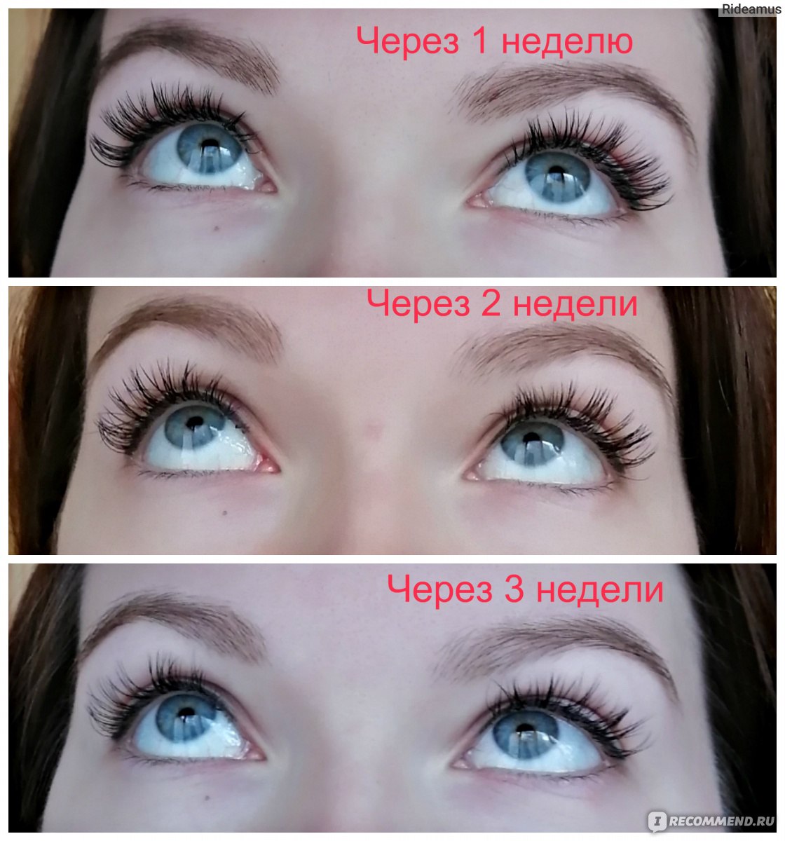 Extreme Look Lash&Brow By Regina - Ресницы, Брови, Перманентный макияж